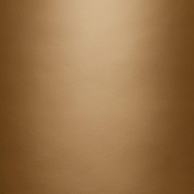 KRYLON طلاء رذاذ معدني ذهبي من كرايلون - علبة بخاخ سعة 12 أونصة لمشاريع الأعمال اليدوية - Image 2