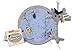 Giant Microbes GIANTmicrobes Graduation Brain Cell Plush Celebrate with our signature Brain Cell plush donning a graduation cap and tassel Uniquely Fun Student Gift to Commemorate Achievements - Image 2