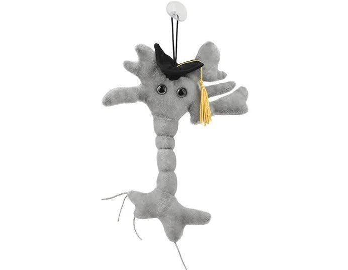 Giant Microbes GIANTmicrobes Graduation Brain Cell Plush Celebrate with our signature Brain Cell plush donning a graduation cap and tassel Uniquely Fun Student Gift to Commemorate Achievements - Image 1
