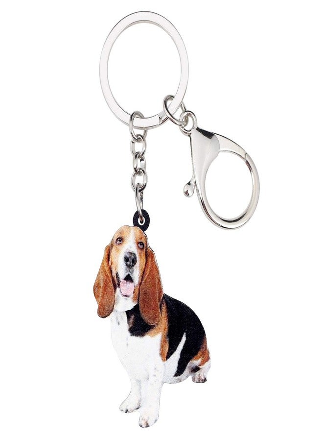 NEWEI Acrylic Basset Hound Keychain Gifts Cute Pets Key Chain Keyrings for Women Girls Bag Purse Accessories Charms (Brown) - Image 1