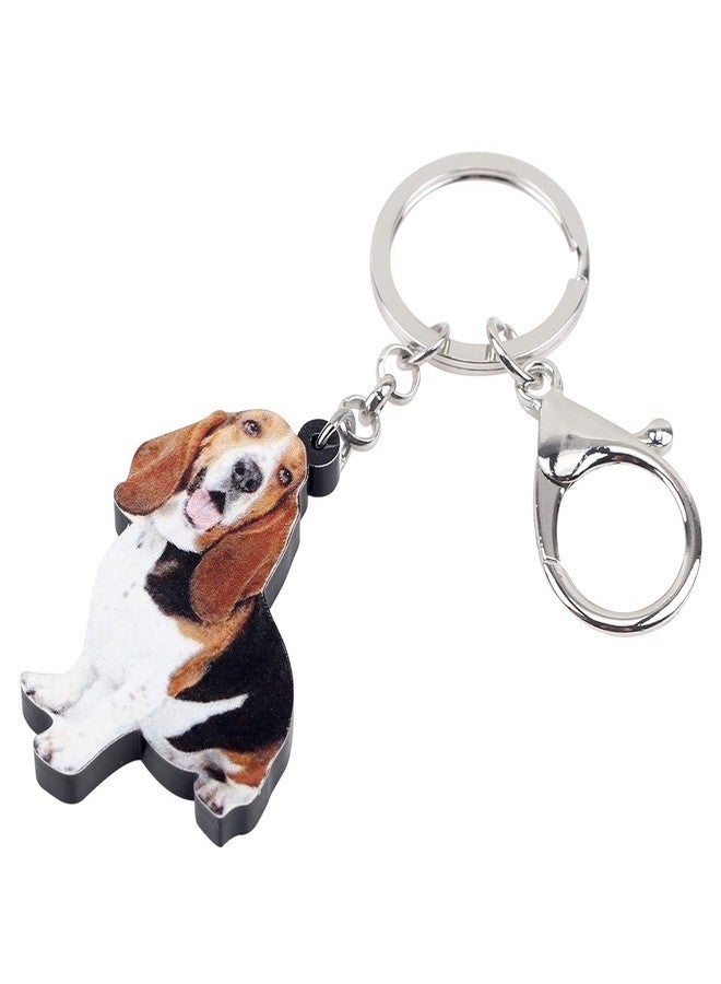 NEWEI Acrylic Basset Hound Keychain Gifts Cute Pets Key Chain Keyrings for Women Girls Bag Purse Accessories Charms (Brown) - Image 2