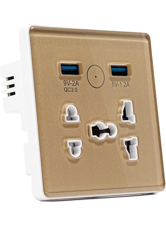 PROMASS Universal WiFi Smart Wall Outlet,Wall Electrical Outlets,Wall Outlet with USB Interface,Smart Life/Tuya APP Remote Control,Compatible Alexa and Google Home,No Hub Required,2.4G WiFi,10A (Gold) - Image 1