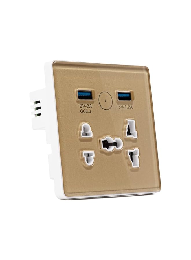 PROMASS Universal WiFi Smart Wall Outlet,Wall Electrical Outlets,Wall Outlet with USB Interface,Smart Life/Tuya APP Remote Control,Compatible Alexa and Google Home,No Hub Required,2.4G WiFi,10A (Gold) - Image 2