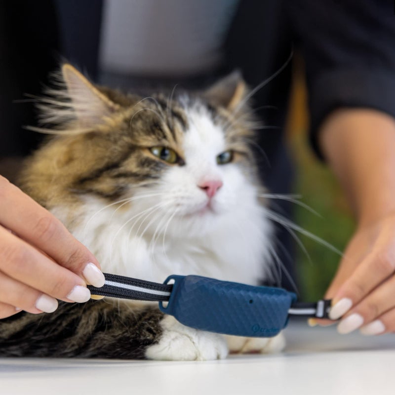 tractive GPS CAT 4 Collar Attachment x3, Midnight Blue, Glow-in-The-Dark, Snow - Image 4
