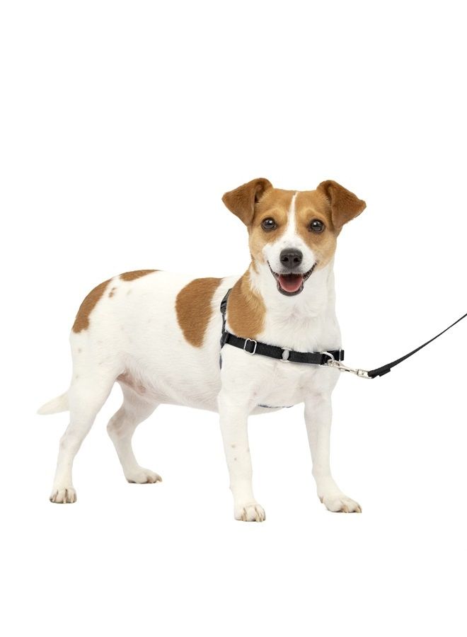 PetSafe Easy Walk No-Pull Dog Harness - The Ultimate Harness to Help Stop Pulling - Take Control & Teach Better Leash Manners - Helps Prevent Pets Pulling on Walks - Small, Charcoal/Black - Image 1