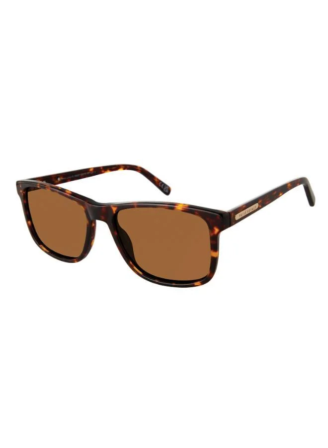 PRIVÉ REVAUX Wayfarers Sunglasses