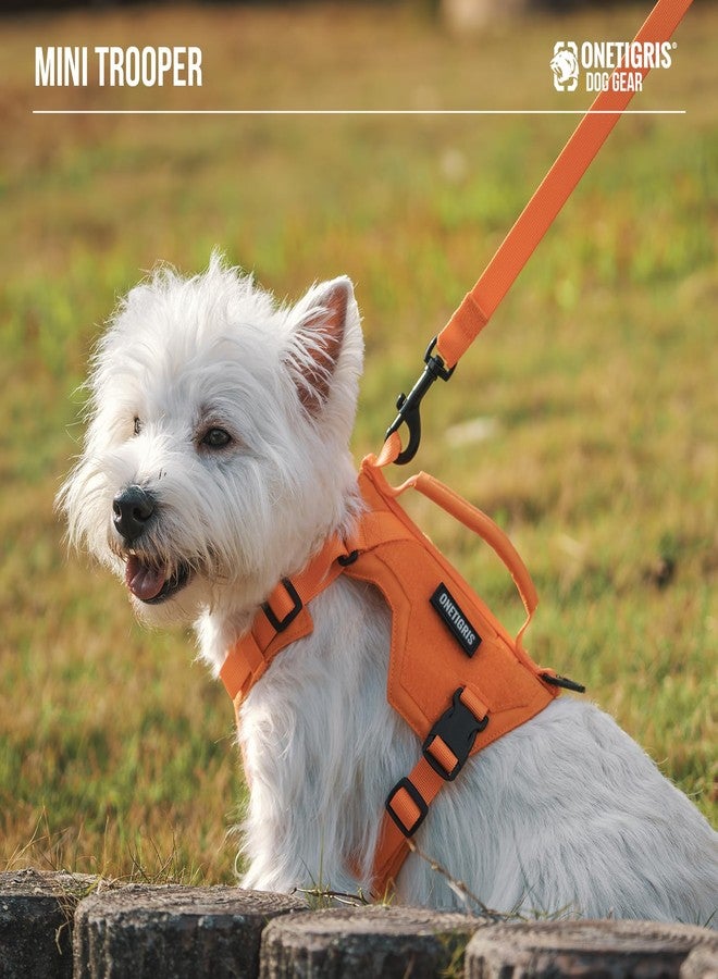 Onetigris Small Harness Dog Harness and Leash Set,MINI Trooper No Pull Dog Vest Fully Adjustable Harness for Puppy Dog and Cats, Dog Vest Harness for XXXS XXS XS Pets (Orange, XXXS) - Image 2