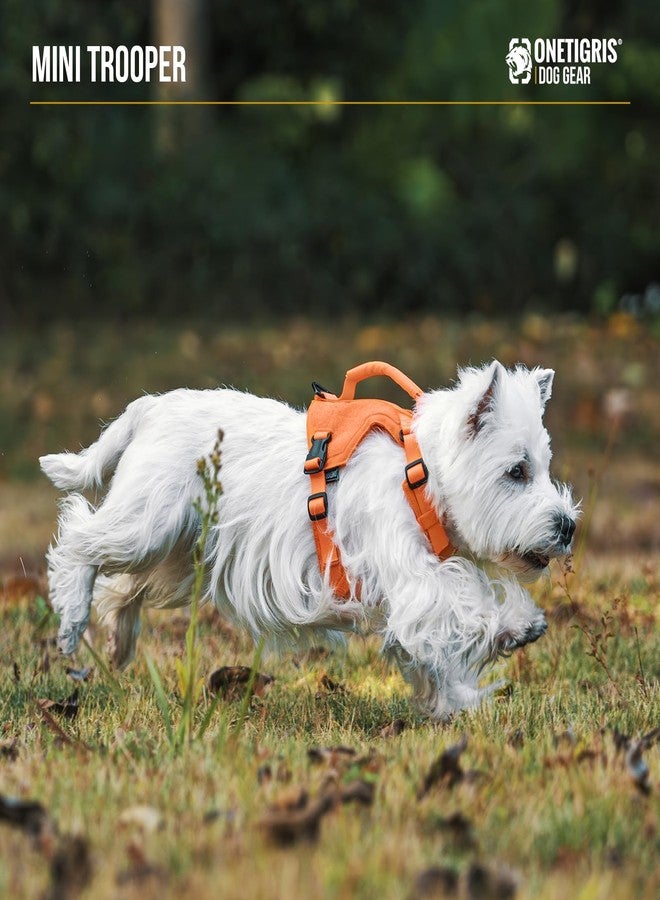 Onetigris Small Harness Dog Harness and Leash Set,MINI Trooper No Pull Dog Vest Fully Adjustable Harness for Puppy Dog and Cats, Dog Vest Harness for XXXS XXS XS Pets (Orange, XXXS) - Image 4