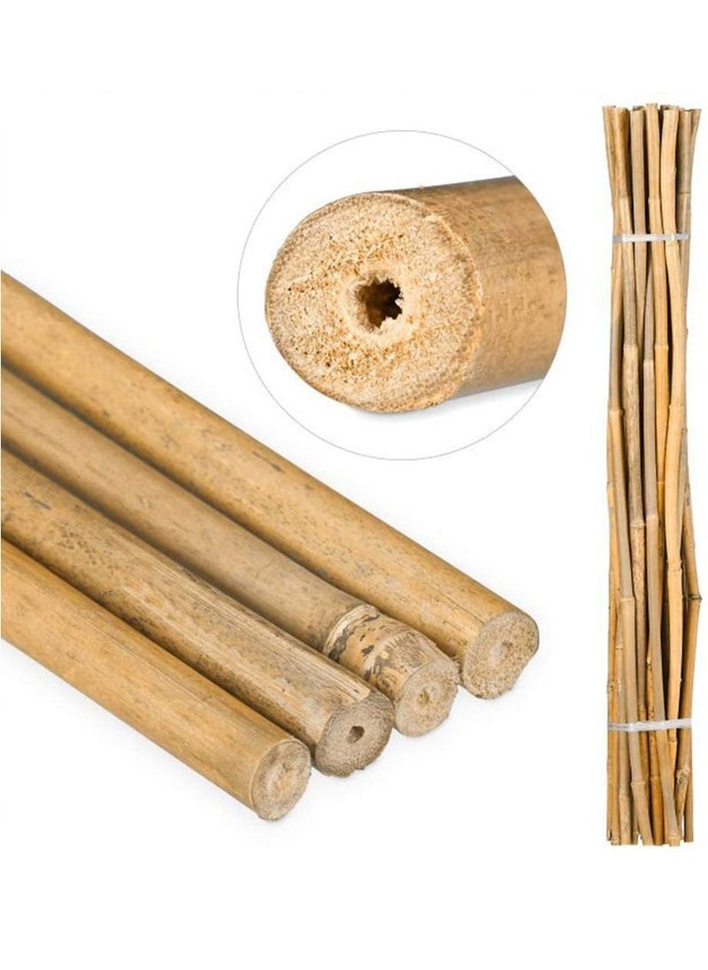 LINGWEI - 10 pcs Bamboo Poles Plant Stakes - Image 1