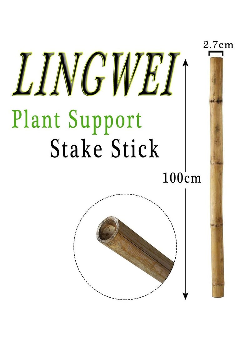 LINGWEI - 10 pcs Bamboo Poles Plant Stakes - Image 1