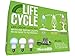 Miracle LED Miracle LED Plant Life Cycle LED Grow Light Kit with 3 Almost Free Energy Bulbs for Three Stages of Growing (2-Pack)  - Image 2