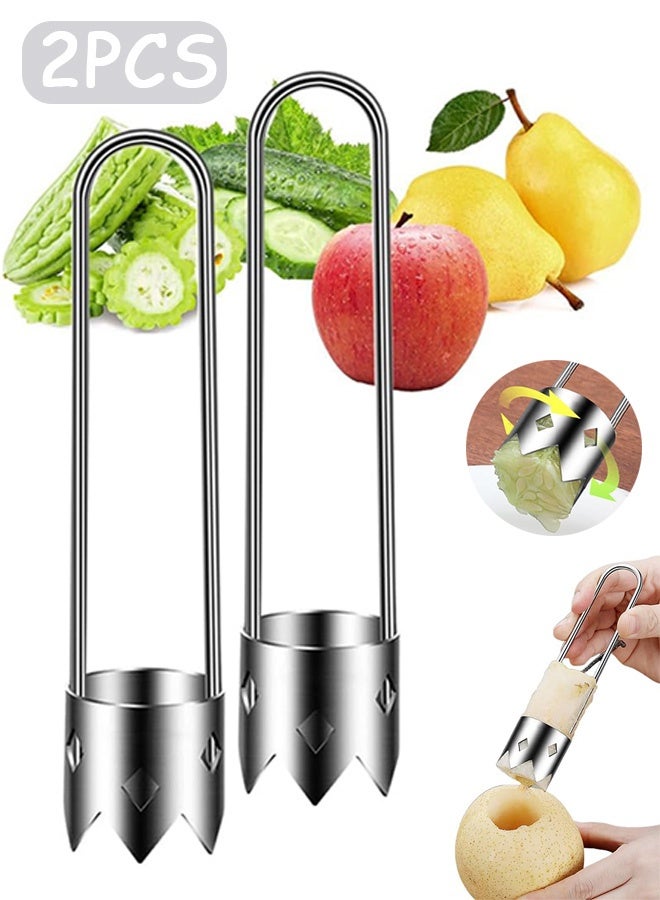 Quantum 2 Stainless Steel Fruite Corer, Multifunctional Fruit And Vegetable Core Remover, Kitchen Gadgets for Pepper, Pineapple Apple Corer - Image 1