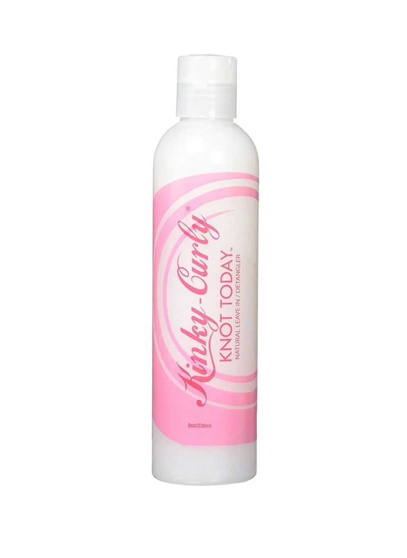 Kinky Curly - Kinky curly KNOT TODAY LEAVE-IN CONDITIONER - Image 1