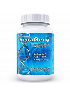 Thermally Stabilized Oxaloacetate Antiaging Supplement