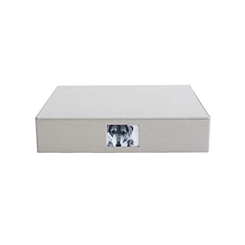 Kolo Havana Archival Photo Storage Box, Large, Platinum - Image 1