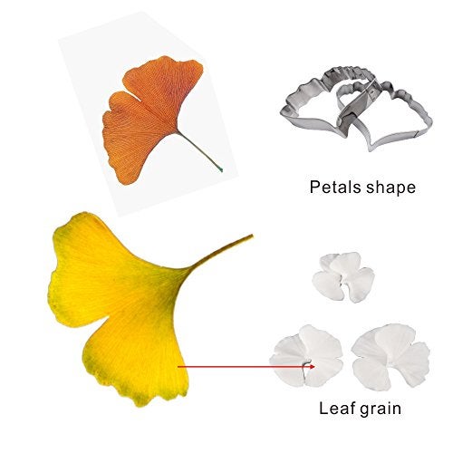 AK ART KITCHENWARE Sugar Paste Flower Veining Molds Petal Veiners Leaf Cutter Fontant Mold Cake Craft Tools (ginkgo) - Image 3