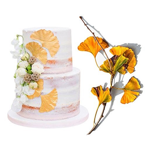 AK ART KITCHENWARE Sugar Paste Flower Veining Molds Petal Veiners Leaf Cutter Fontant Mold Cake Craft Tools (ginkgo) - Image 5