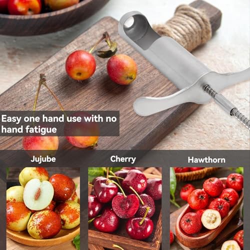 Beufee Red Dates Hawthorn Seeds Removing Tool, Reusable Grapes Seeds Removing Tool Stainless Steel Fruit Core Remover Tool for Red Dates Hawthorn Grape Kitchen Gadgets - Image 2