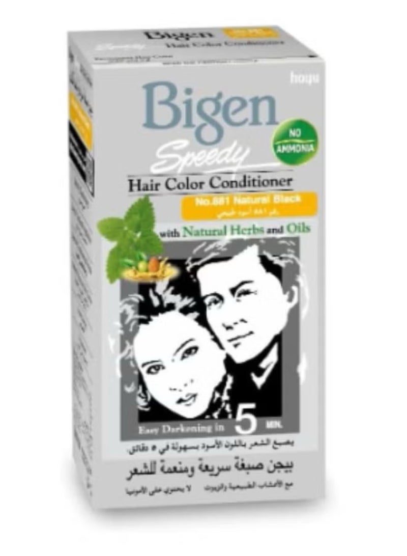 بايجن بيجن صبغة للشعر أسود طبيعي 881