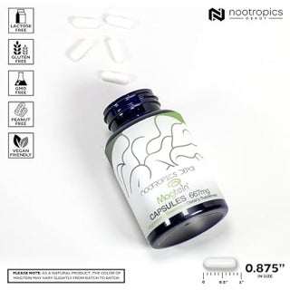 lefcar l carnitine L-Carnitine (fumarate)