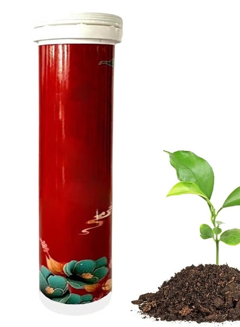 DUBUSH Universal Slow-Release NPK Fertilizer Tablet (22pcs) for Home Gardening Indoor Flower Potting and Organic Flower Nutrition - Image 1