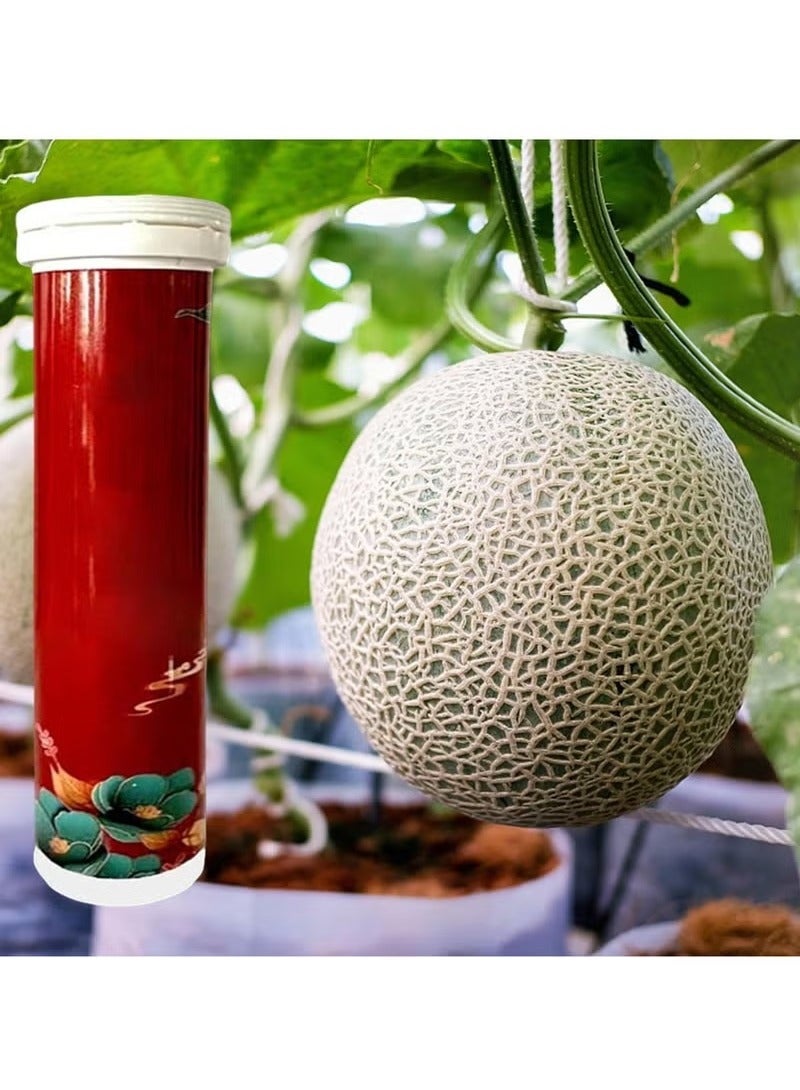 DUBUSH Universal Slow-Release NPK Fertilizer Tablet (22pcs) for Home Gardening Indoor Flower Potting and Organic Flower Nutrition - Image 2