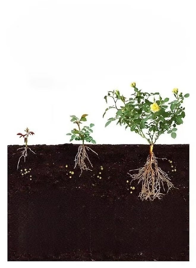 DUBUSH Universal Slow-Release NPK Fertilizer Tablet (22pcs) for Home Gardening Indoor Flower Potting and Organic Flower Nutrition - Image 5