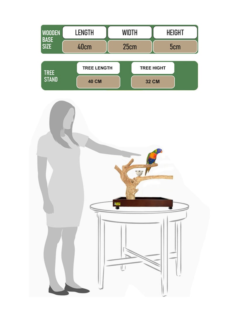 CHEWY BEAK Bird Stand Table Top Natural wooden Parrot Play Stand Indonesian Java wood Tree Perches with Stainless steel feeder small size  - Image 2