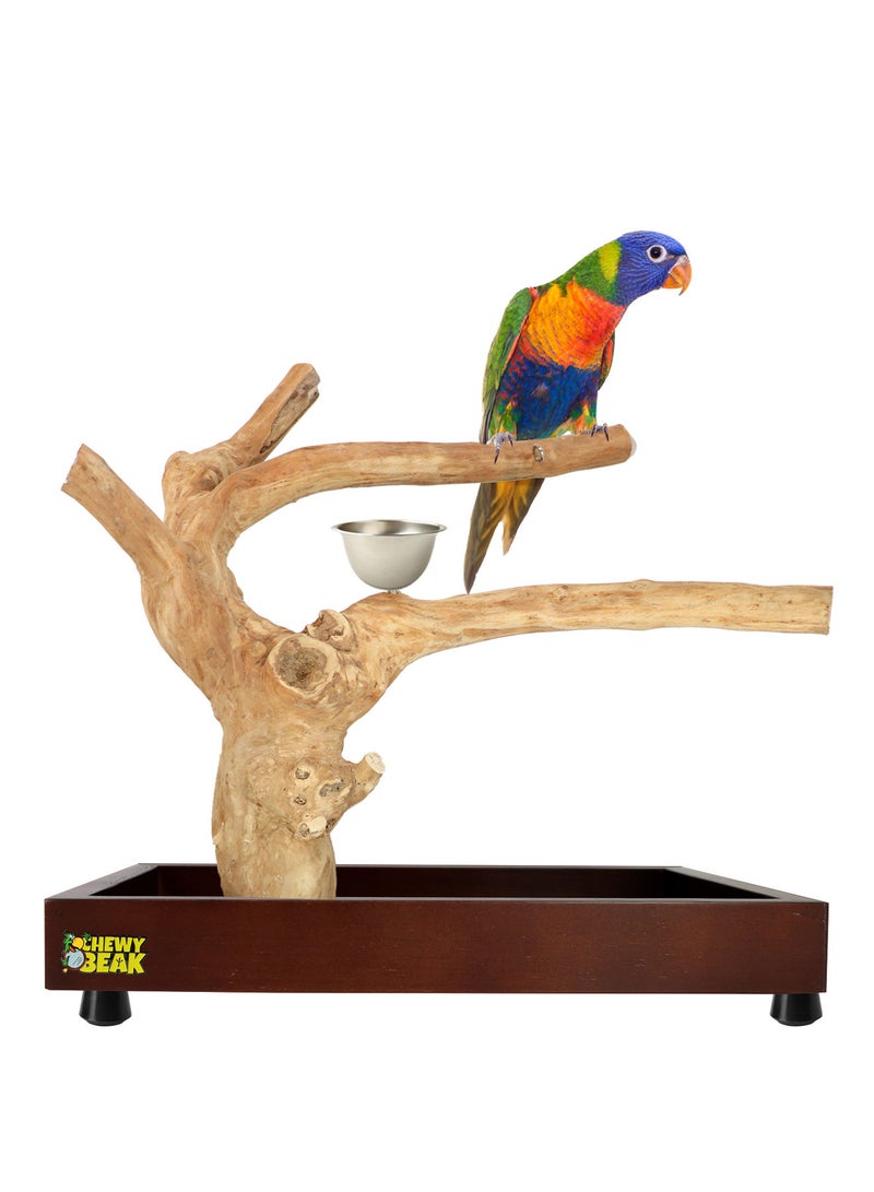CHEWY BEAK Bird Stand Table Top Natural wooden Parrot Play Stand Indonesian Java wood Tree Perches with Stainless steel feeder small size  - Image 1