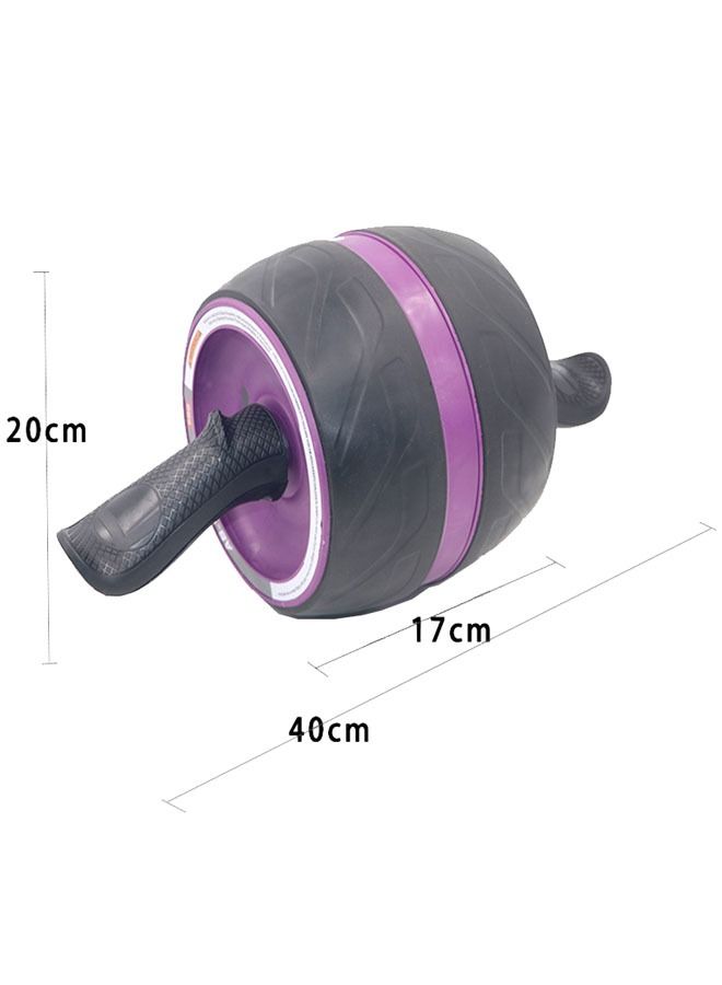 Generic Core Abdominal Roller Wheel  - Image 2