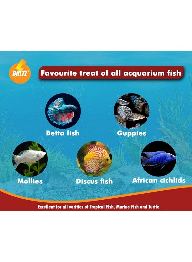 Boltze طعام أسماك مجفف بالتجميد من ديدان الدم 25 جرامًا لأسماك البيتا والتترا والأروانا والزهور وسمك الأوسكار لجميع مراحل الحياة (25 جرامًا) متعدد الألوان - Image 3