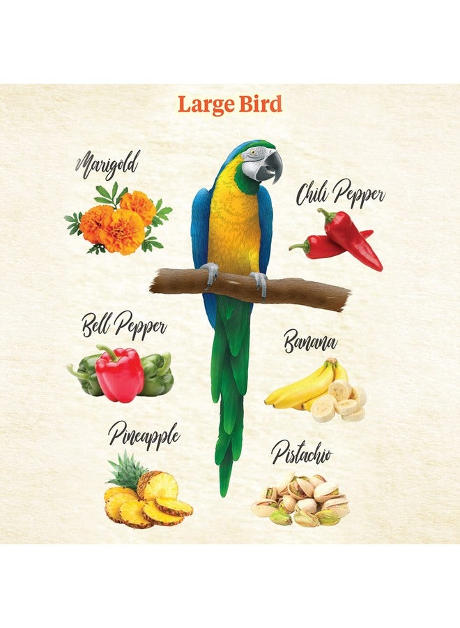 كايتي فود من ذا وايلد، وجبات خفيفة طبيعية للطيور الأليفة، 3 أونصة. - Image 4