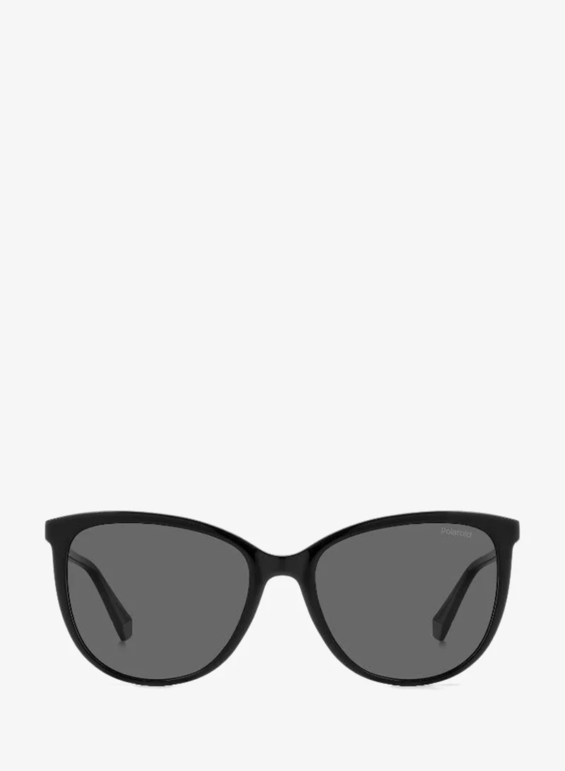 Rectangular Polaroid Sunglasses Frames