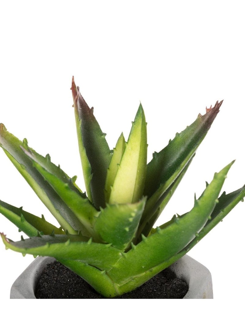 لوفت نبات اصطناعي في وعاء زخرفي، SCANDI، الطول 13 × العرض 13 × الارتفاع 17 سم، أخضر - 114760 - Image 2