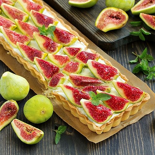 Cyimi 14 Inch Rectangular Tart Pan Set of 2, Nonstick Quiche Pie Pan with Removable Bottom Tart Pan for Pies, Quiche Bakeware, Cheese Cakes, Desserts - Image 4