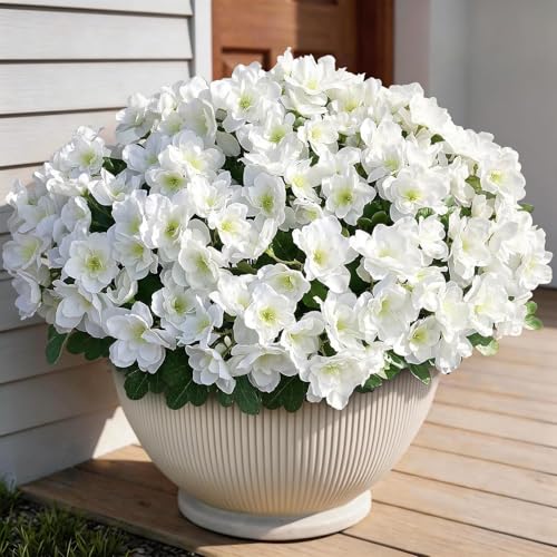 YXZZWL 8 Bundles Artificial Flowers for Front Door, Fake Silk Azalea Bouquet Silk Flowers for Outside UV Resistant Realistic Faux Plants for Planter Farmhouse Patio Garden Walkways Home Decor (White) - Image 2