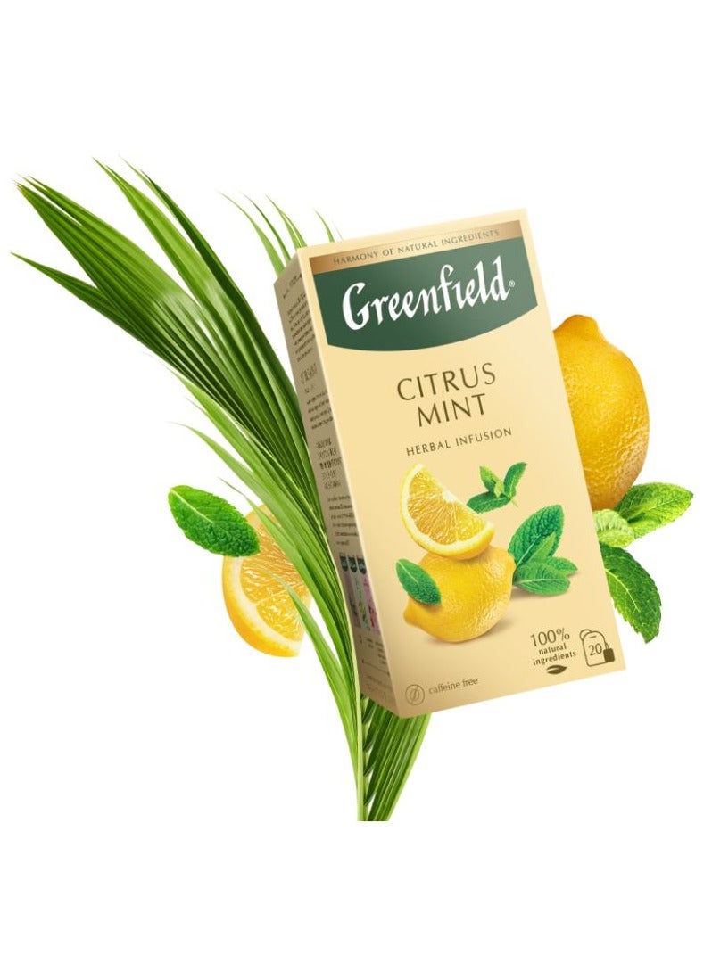 Greenfield Citrus Mint Herbal Tea 20 Tea Bags