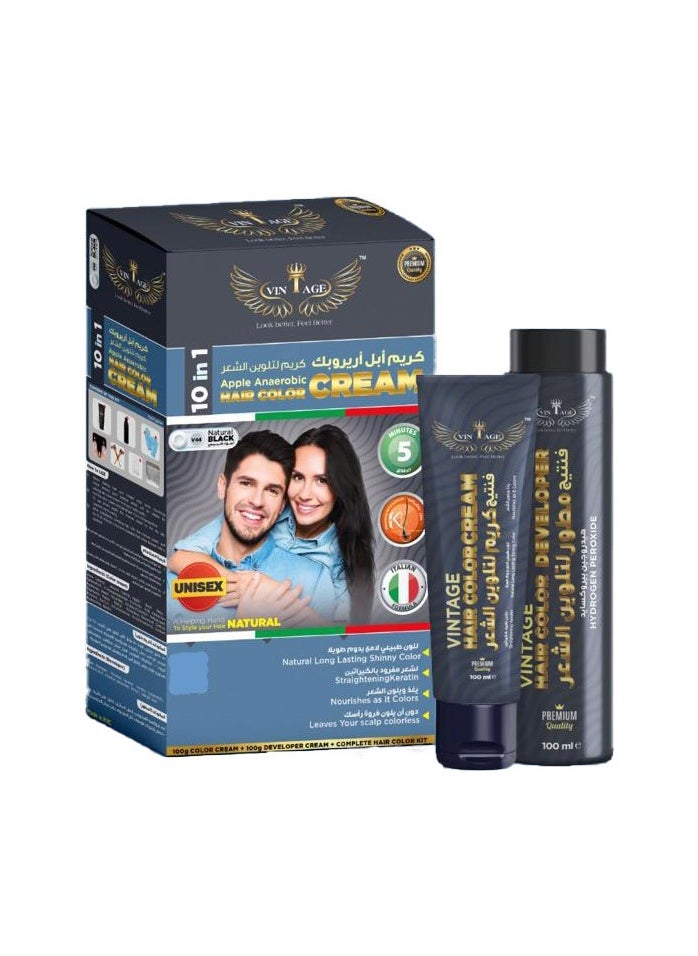 Vintage Vintage Apple Anaerobic Black Hair Color Cream | 100% Organic | Permanent Natural Black Dye | Vegan & Allergy-Free | Pack of 2 (2 x 100ml)  - Image 1
