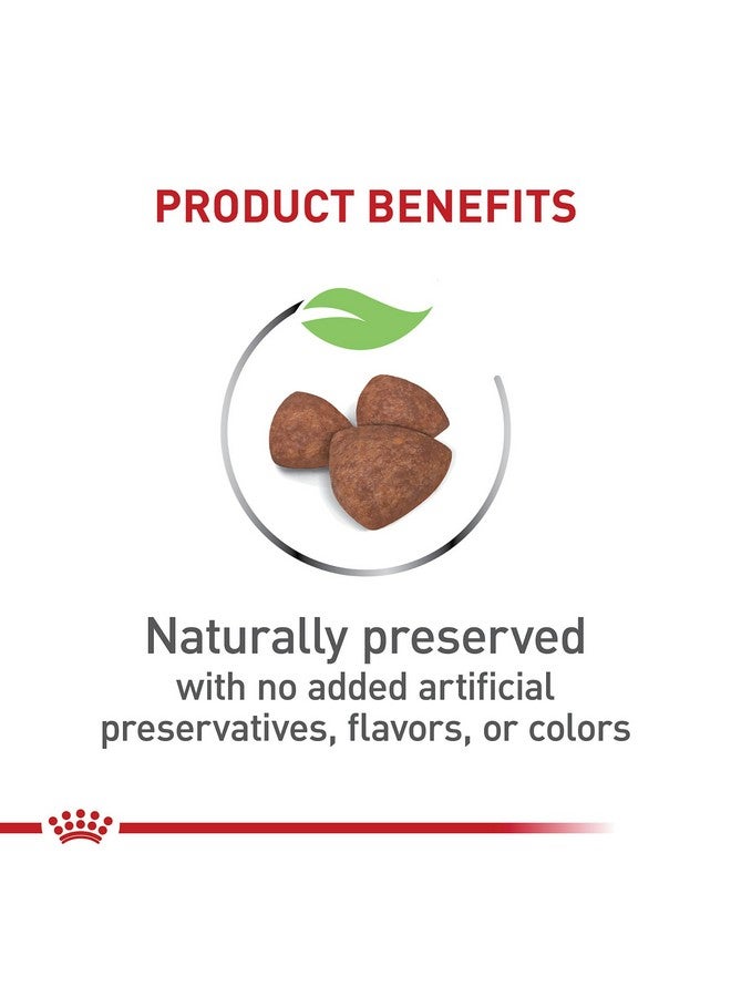 رويال كانين طعام جاف للكلاب الصغيرة من رويال كانين سايز هيلث نيوتريشن إندور بابي، كيس 2.5 رطل - Image 2