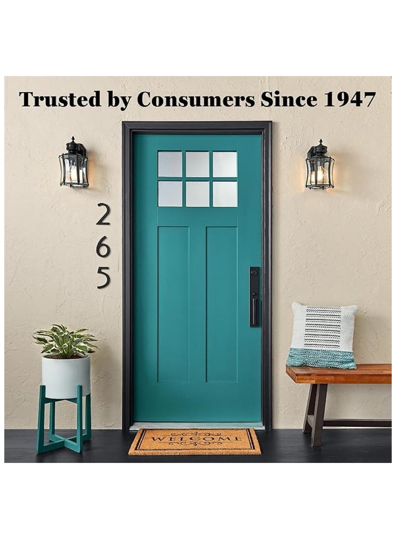 كرايلون بخاخ زجاج البحر 340 جرام - Image 4