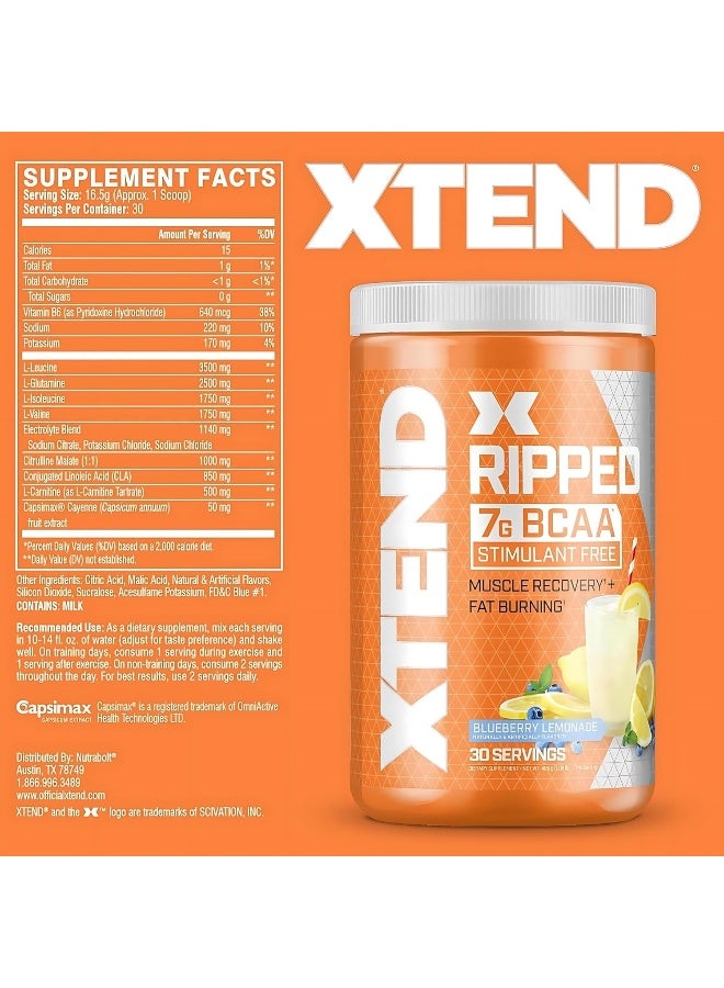 XTEND Ripped BCAA Powder, Fat Burning Amino Acids with CLA & L-Carnitine, 7g BCAAs for Muscle Recovery & Hydration, Zero Sugar, Blueberry Lemonade – 30 Servings - Image 3