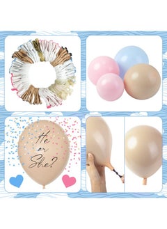 185Pcs Gender Reveal Decoration Doublestuffed Pastel Pink And Blue Brown Nude Balloon Arch Kit White Cloud Hanging Moon&Star Garland Boho Neutral Boy Or Girl Bear Baby Shower Party Supplies - pzsku/ZB19166505920E3FFAB73Z/45/_/1697271293/25481162-401b-4b0a-bca0-1135c07060b8