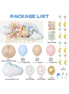 185Pcs Gender Reveal Decoration Doublestuffed Pastel Pink And Blue Brown Nude Balloon Arch Kit White Cloud Hanging Moon&Star Garland Boho Neutral Boy Or Girl Bear Baby Shower Party Supplies - pzsku/ZB19166505920E3FFAB73Z/45/_/1697271296/acd0e5c7-fe41-495c-86ad-a3d7521830ad