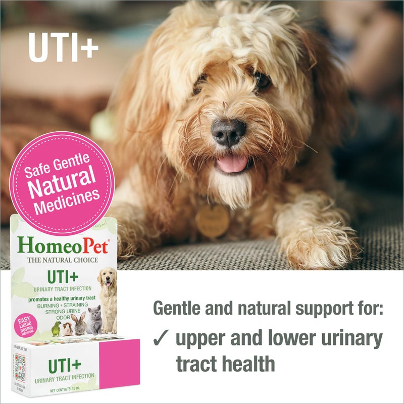 HomeoPet UTI Plus Urinary Tract Relief, Safe and Natural Dog and Cat UTI Supplement, 15 Milliliters - Image 2