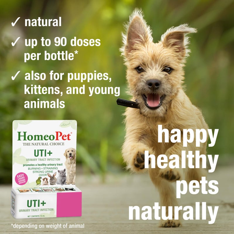 HomeoPet UTI Plus Urinary Tract Relief, Safe and Natural Dog and Cat UTI Supplement, 15 Milliliters - Image 4