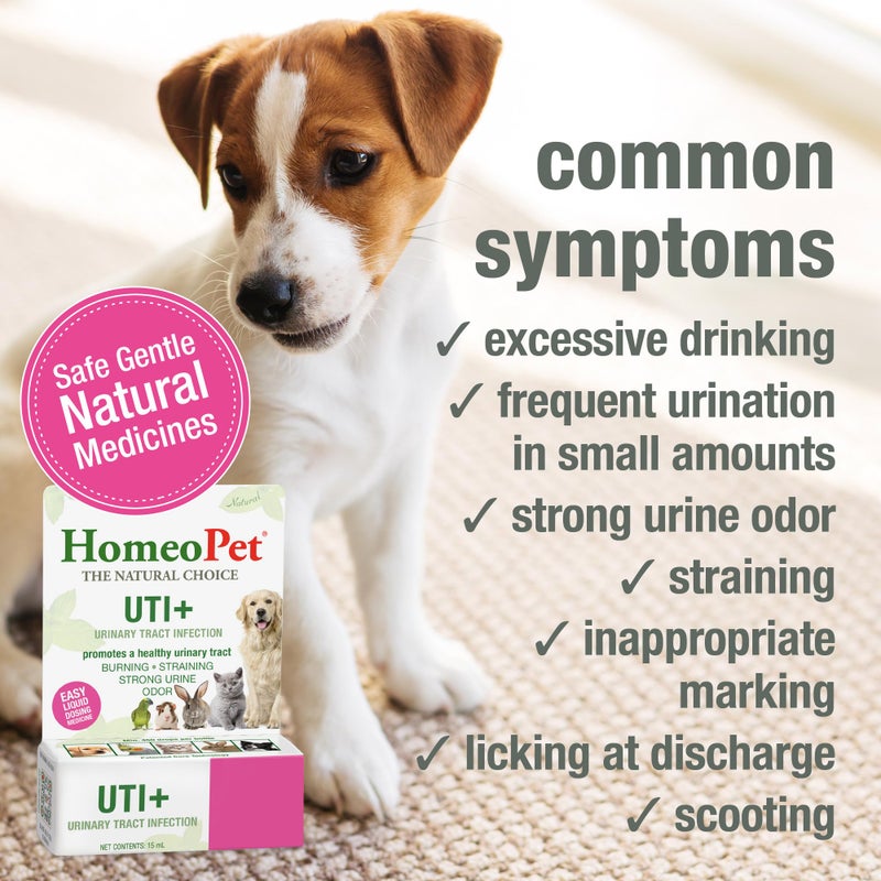 HomeoPet UTI Plus Urinary Tract Relief, Safe and Natural Dog and Cat UTI Supplement, 15 Milliliters - Image 3