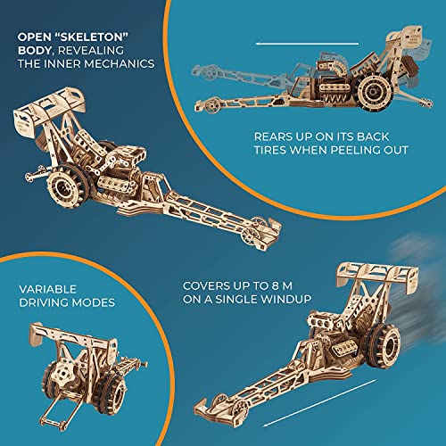 UGEARS Dragster Car Model Kit Top Fuel Dragster Model Kits 3D Puzzle with Powerful Spring Motor Drag Racing Model Car Kits 3D Puzzles for SelfAssembly 3D Wooden Puzzles for Adults and Kids - Image 5