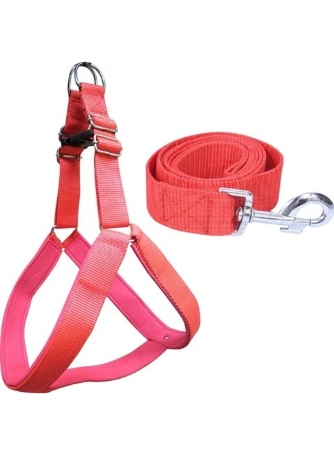 مجموعة المقود والسرج للكلاب - Image 3