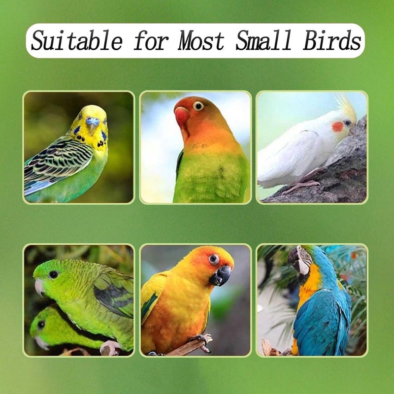 Xxmbbjy No Mess Bird Feeder for Cage, Automatic Acrylic No Mess Bird Feeder Cage for Parrots Canary Parakeet Budgerigar Crested Myna Cockatiel Lovebird (Large) - Image 4