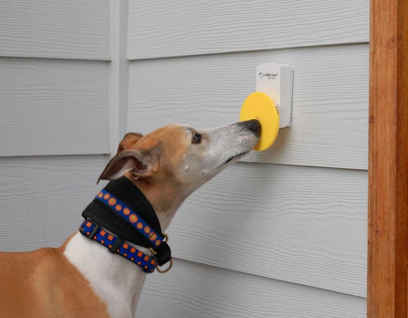Pebble Smart Doggie Doorbell - Blue Accent - Image 5